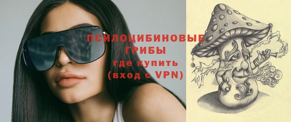 тгк Арсеньев