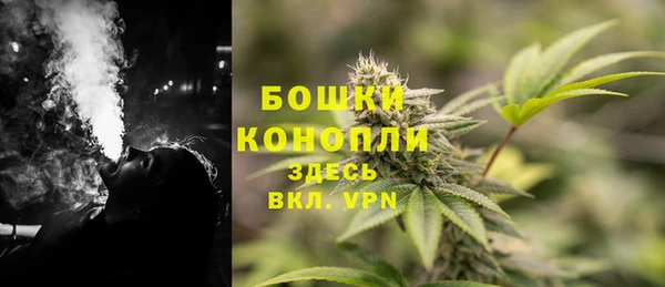 тгк Арсеньев