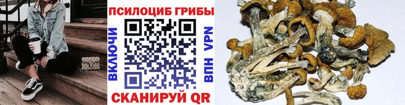 Галлюциногенные грибы GOLDEN TEACHER  Краснослободск 